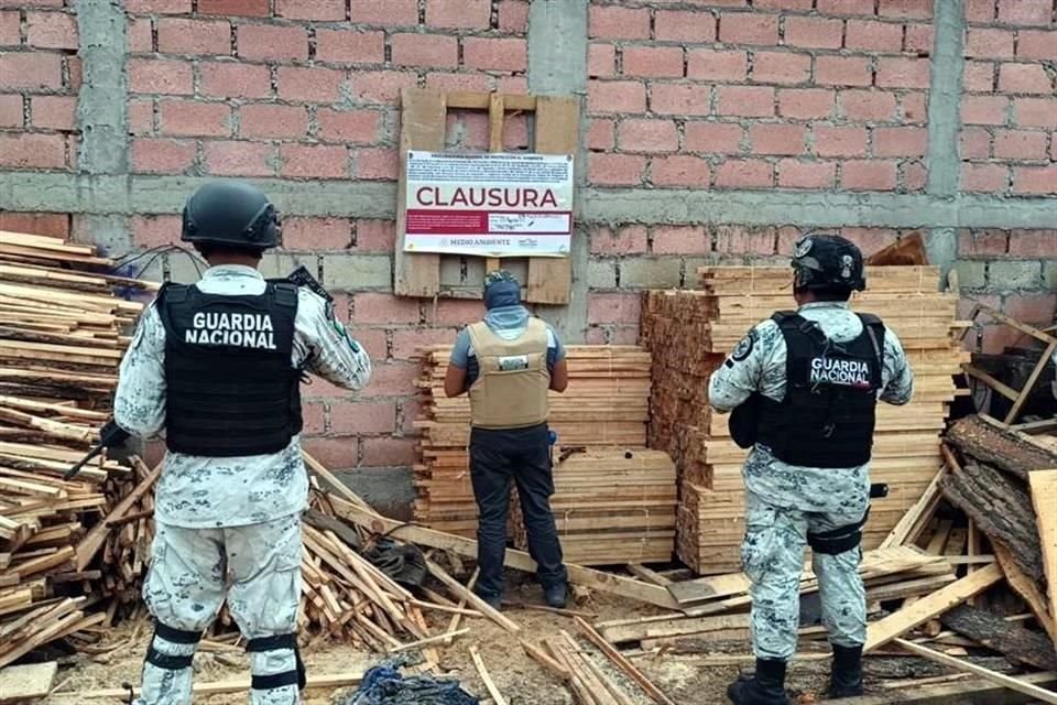 Los aserraderos son instalados y desmontados por las noches, por cinco grupos de talamontes, el más fuerte en Huitzilac, y por ahora fueron desmantelados los que operaban en Tlalpan y Milpa Alta.