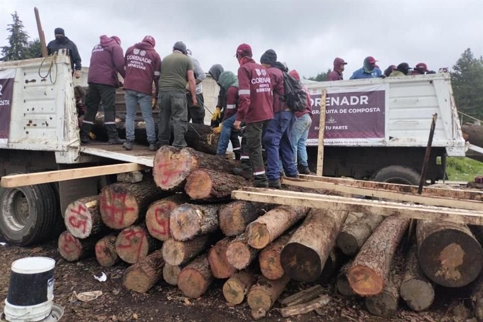 Para evitar su comercialización como madera fueros asegurados mil 230 troncos de árboles talados, 2 mil 012 tablas; 2 mil 600 piezas en escuadría, 2 mil 600 polines y 4 mil barrotes en rollo.