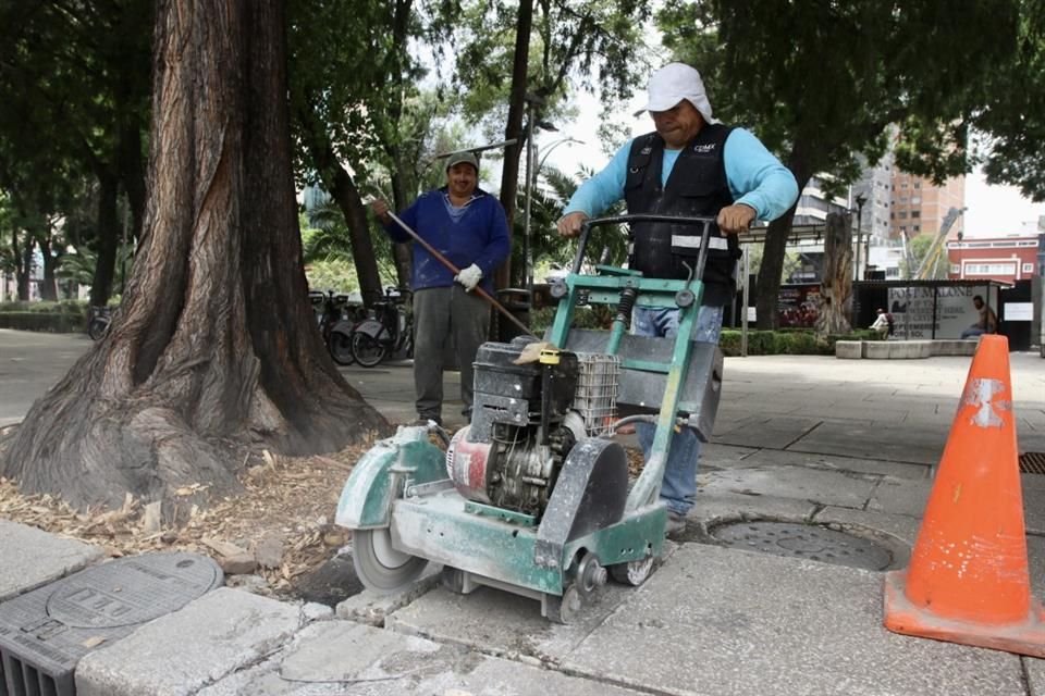 Trabajadores del Gobierno capitalino intervinieron las aceras alrededor de la Glorieta de la Diana Cazadora por ahuehuetes.