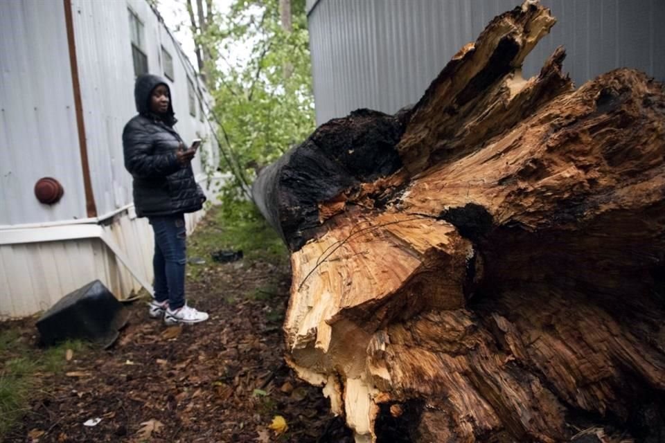 Una persona inspecciona un árbol caído en Shady Grove Mobile Home Park en Charlotte, Carolina del Norte.