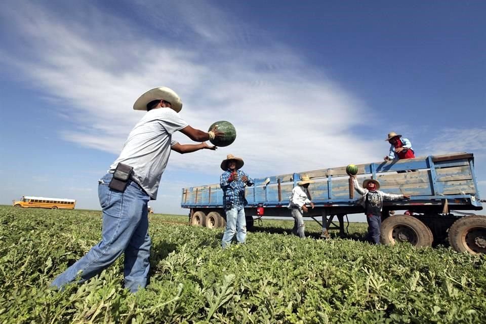 El impacto de la pandemia llevó a empresas del sector primario a utilizar vehículos financieros para solventar sus negocios y seguir operando. 