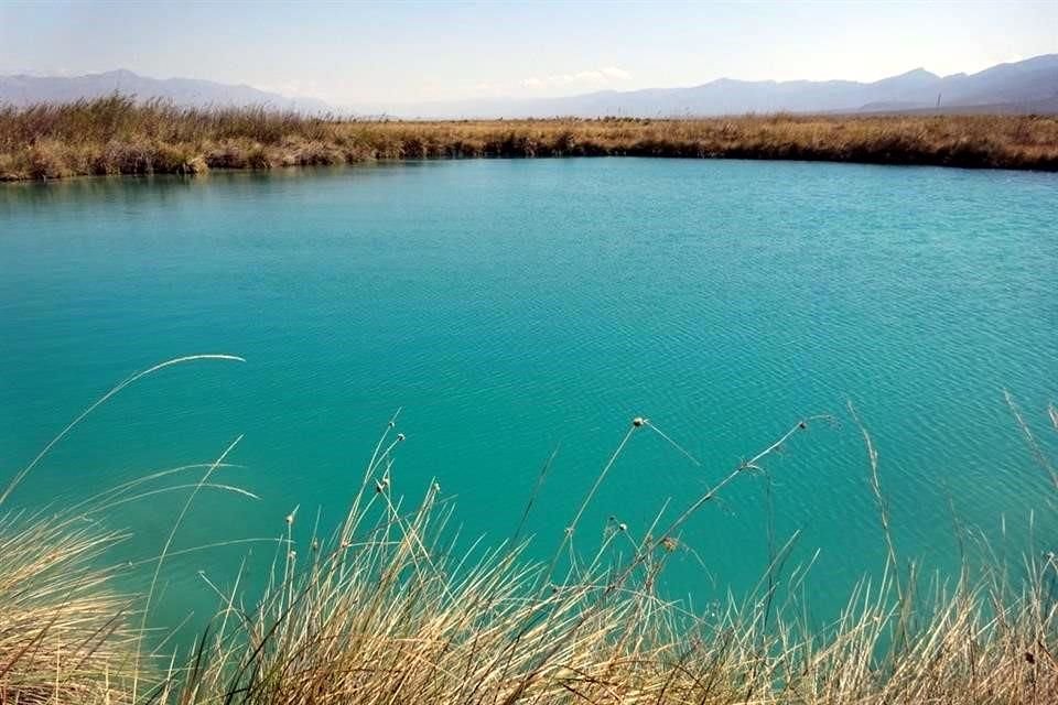 Cuatro Ciénegas, reserva coahuilense olvidada por el tiempo, permite explorar el pasado de las comunidades biológicas de la Tierra.