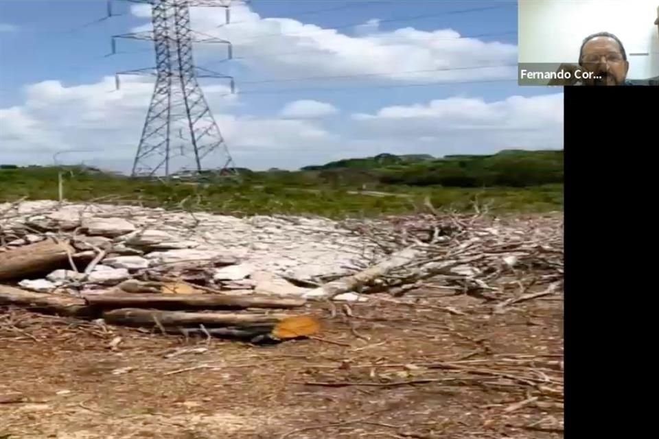 El arqueólogo Cortés de Brasdefer participó a distancia en la mesa de análisis 'Tren Maya, Testimonio desde la historia y la arqueología', en la que mostró las afectaciones de la obra.