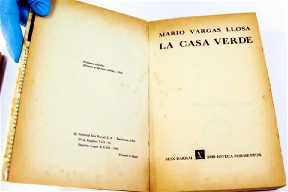 'La casa verde' se inspira  en los recuerdos de Vargas Llosa de la región de Piura, al norte de Perú.