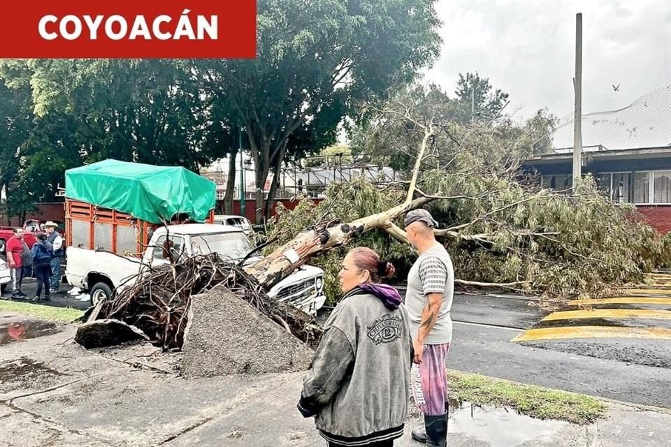 Lluvias en Coyoacán