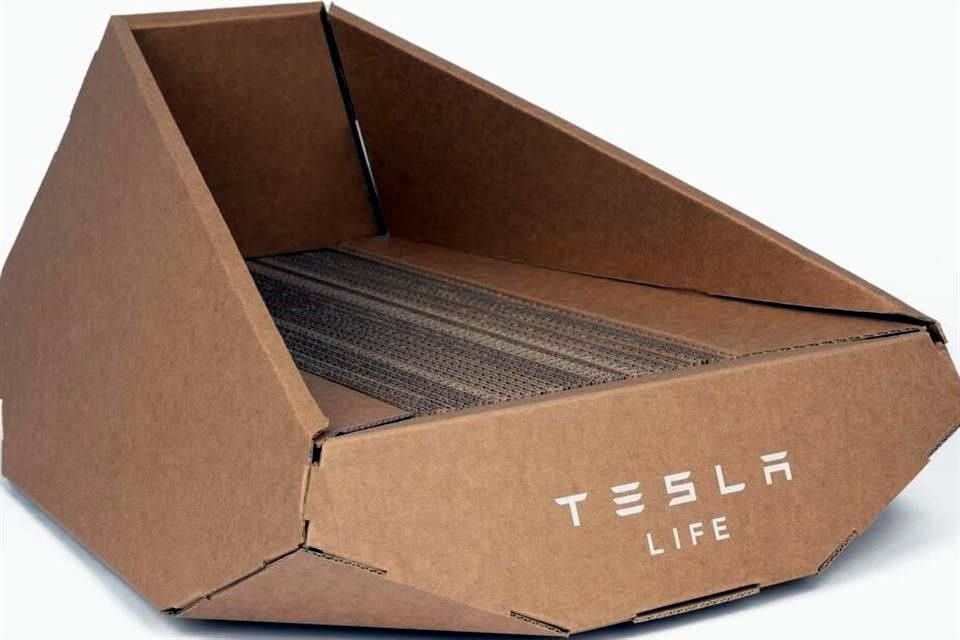 lanza-tesla-cama-para-gatos