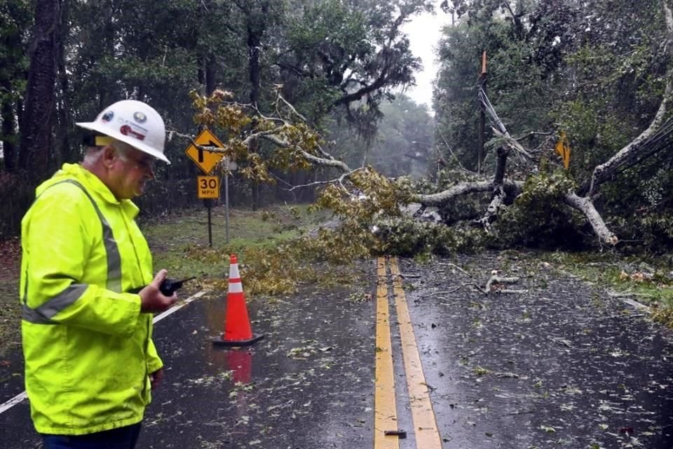 Un trabajador eléctrico de la ciudad de Tallahassee, Florida, evalúa los daños a las líneas eléctricas después de que un árbol cayera.