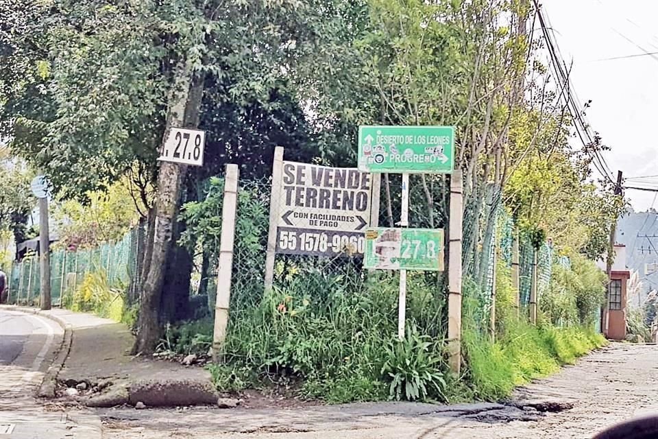 Los terrenos se venden en suelo de conservación, que es parte del Desierto de los Leones.