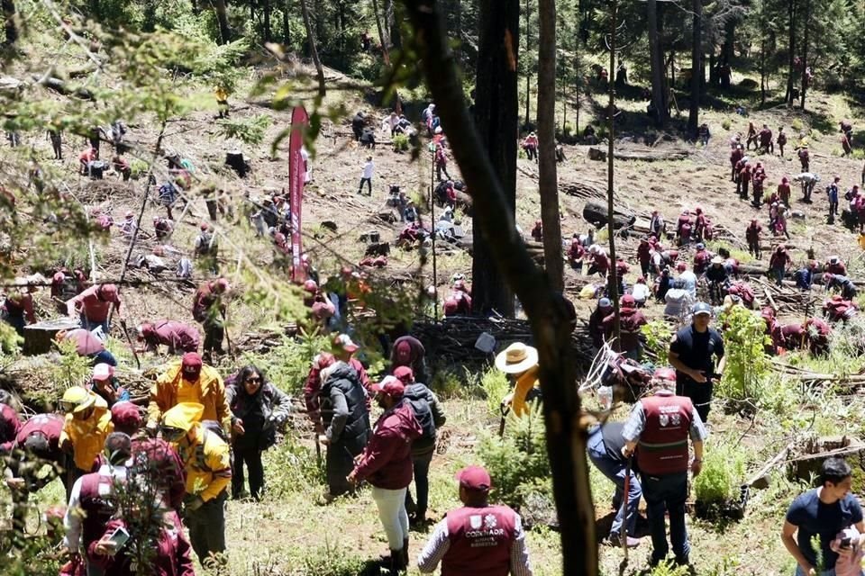 En la jornada participaron vecinos, personal de Corenadr, Bomberos y voluntarios.