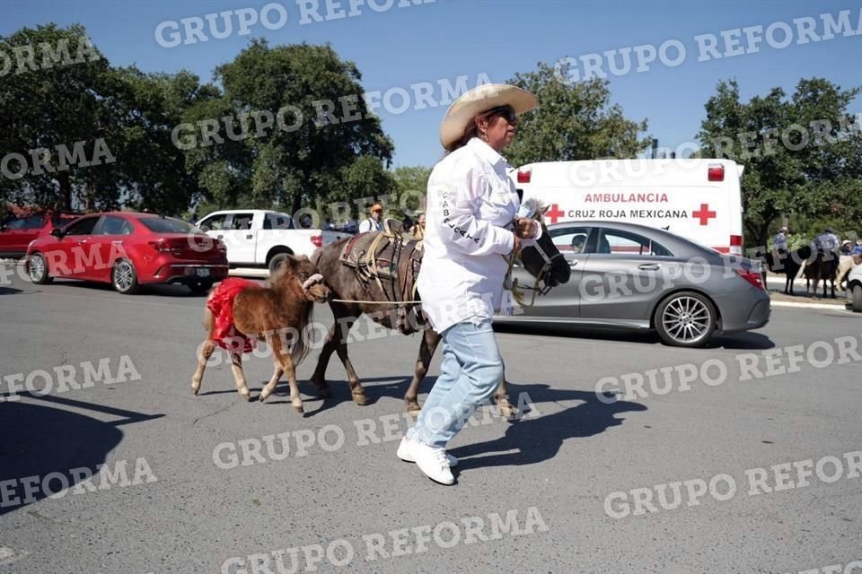 Así como Ponis participaron en este recorrido.