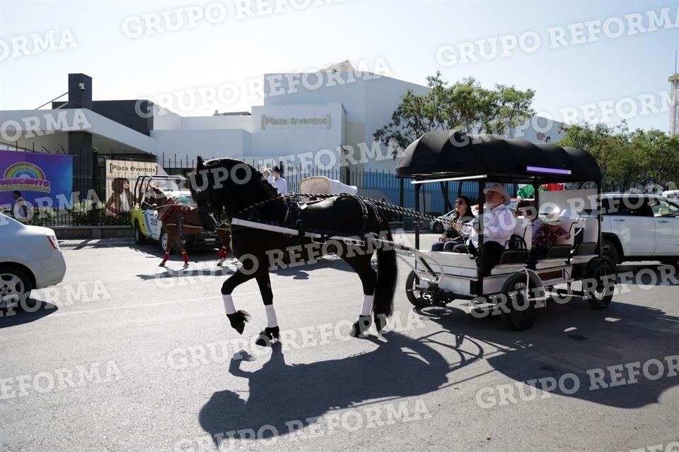 Caballos de todo tipo se vieron en la cabalgata.