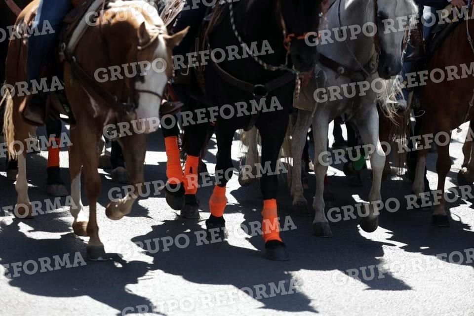 Las tobilleras del caballo del Gobernador lucían de color naranja.