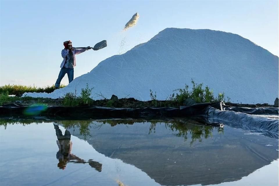 Aspectos del proceso de producción de sal, en la empresa Sal Real de Colima.