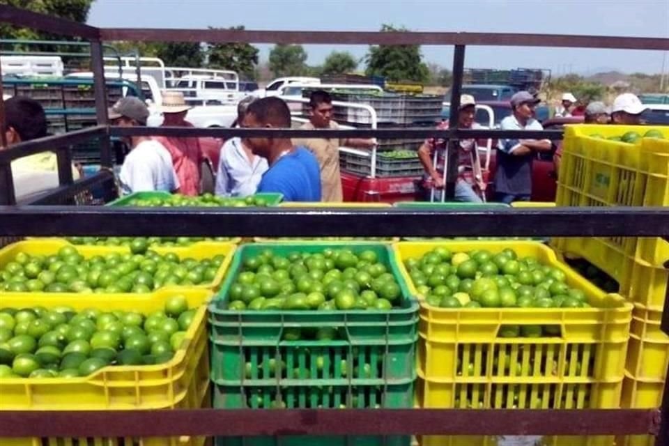 Tras denuncias de limoneros sobre el pago de cuotas al crimen organizado, el Gobierno de Michoacán asumirá operaciones en Apatzingán.