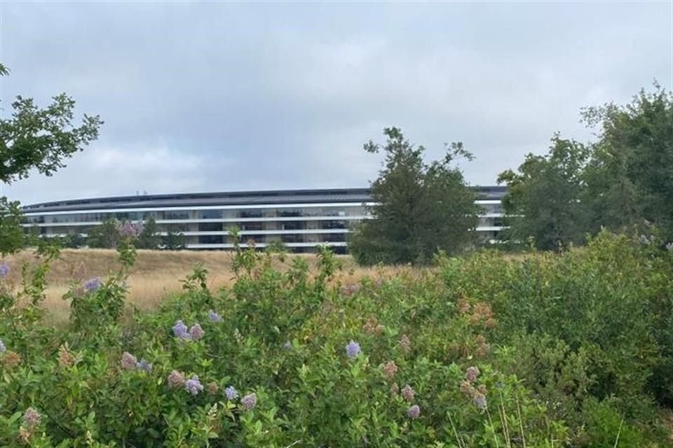 Visitar el Apple Park, en Cupertino, California, es confluir con tecnología, naturaleza, ejercicio, bienestar y energías renovables que lo abastecen.