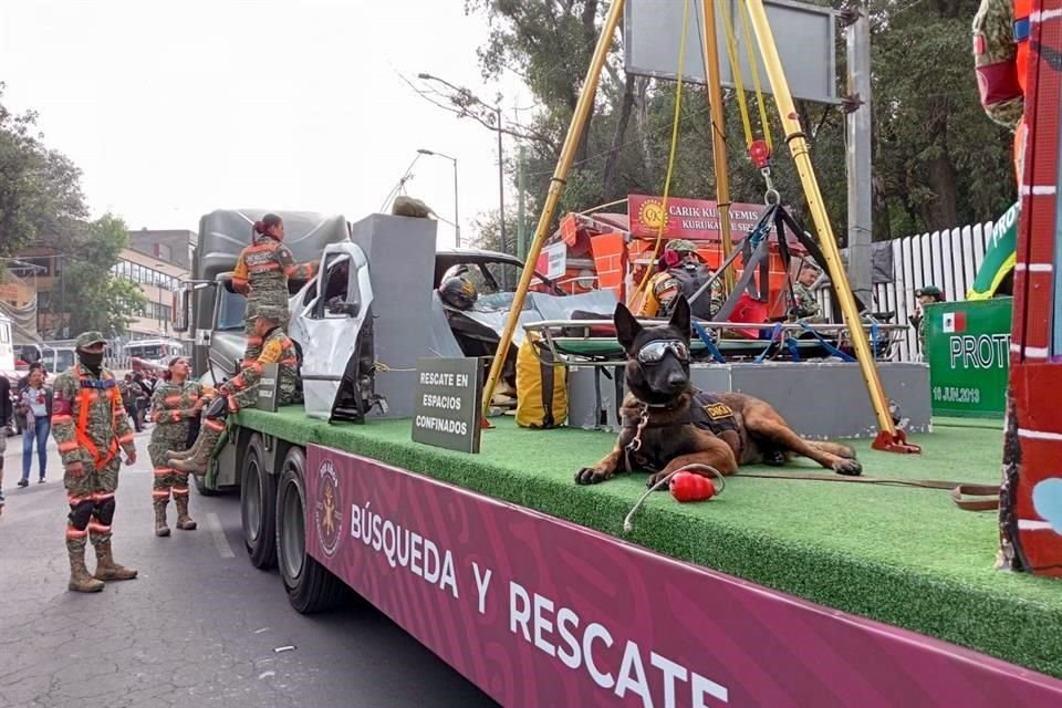 Uno de los vehículos temáticos está dedicado a 'Proteo' el perro rescatista que murió en Turquía.