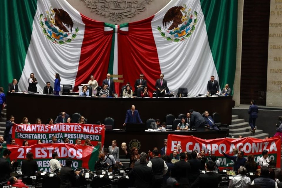 Entre gritos de 'amarra a tus perras' diputadas protagonizaron un enfrentamiento físico y verbal en la comparecencia del titular de SHCP.