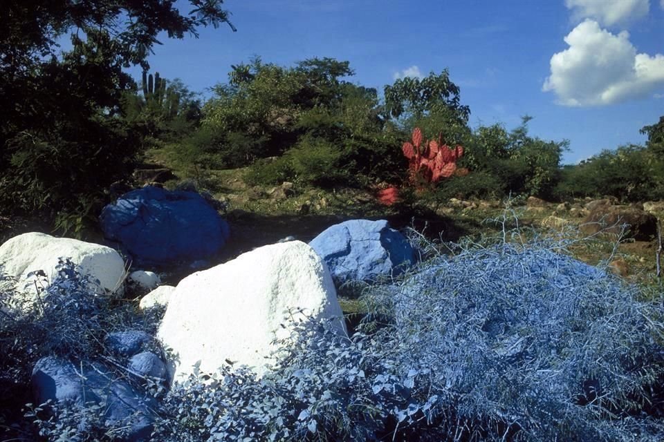 PIEDRAS DE COLORES. Proyecto surgido en Inglaterra, para el cual alteró con pintura de agua las piedras de los campos ingleses, y que después replicó en México.