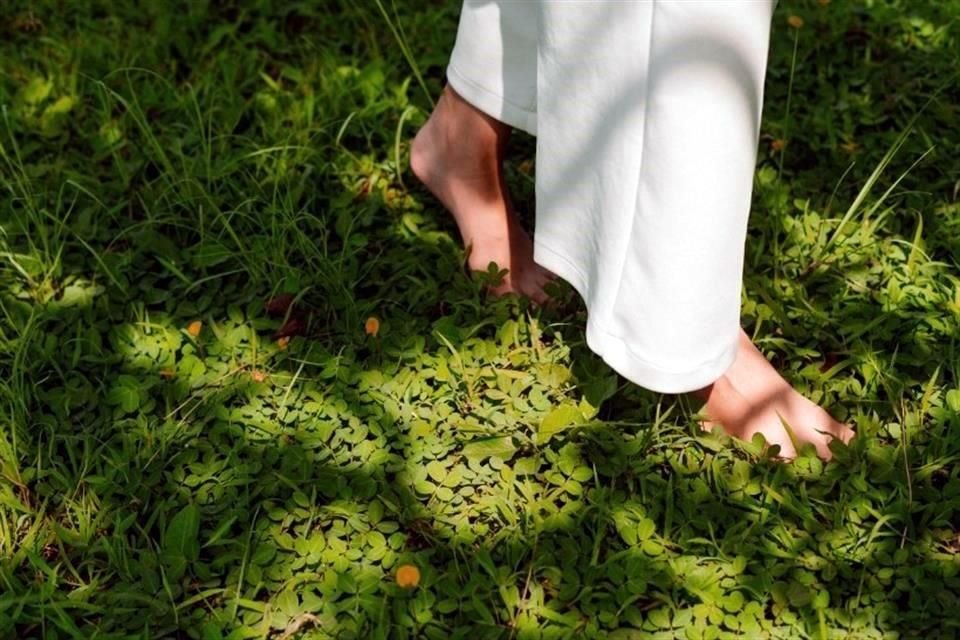 Caminar sobre pasto con pies desnudos ayudará a liberar ansiedad.