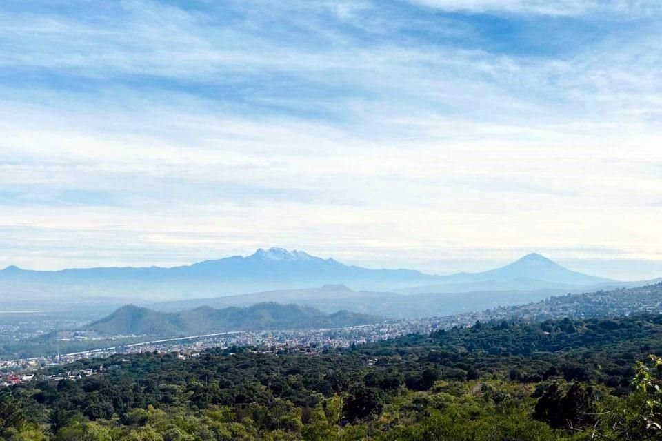 Los asentamientos se registraron dentro del Parque Ecológico de la CDMX.