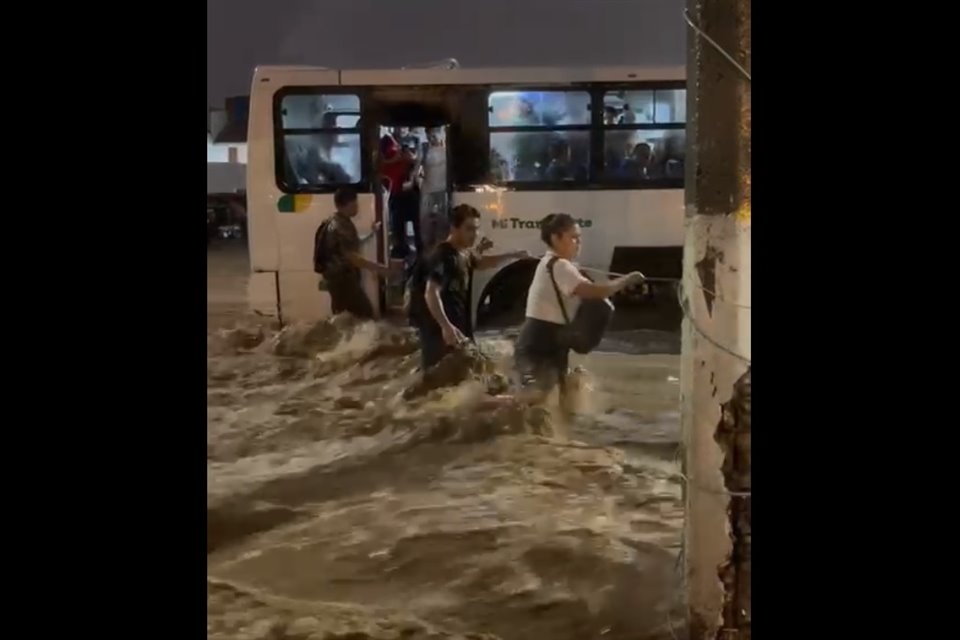 Imagen de artículo