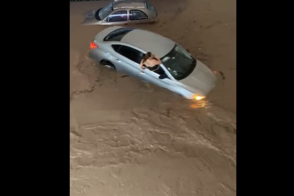 Imagen de artículo