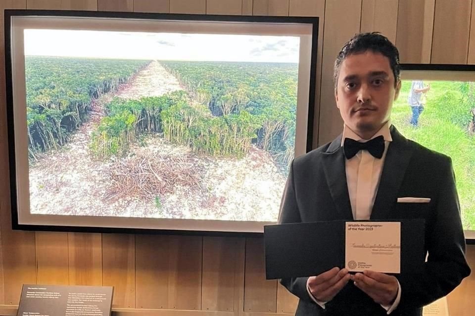 El fotógrafo llamó a su obra 'El turismo bulldozer'.