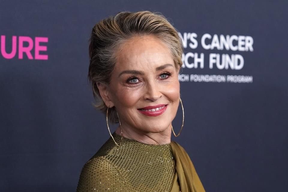 La actriz Sharon Stone se sinceró en una entrevista y reveló que no consigue mucho trabajo como actriz tras tener un derrame cerebral.