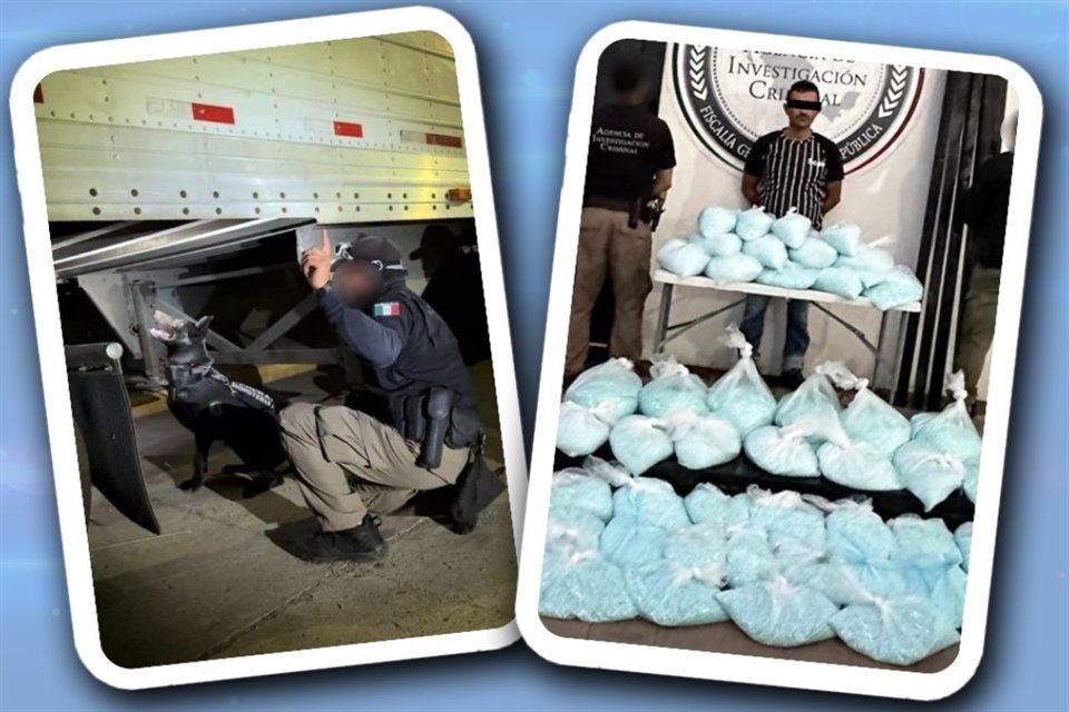 FGR capturó en Sinaloa a un sujeto que transportaba en un tractocamión más de 2.5 millones de pastillas de fentanilo, tras denuncia anónima.