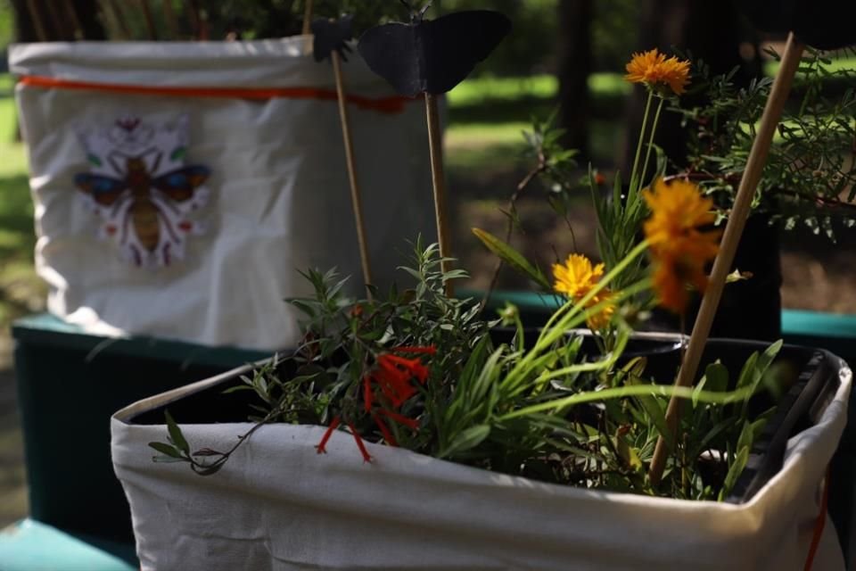 La Sedema ha capacitado a 979 mujeres en creación de jardines polinizadores.