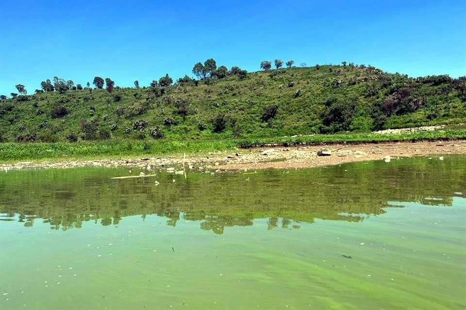 También se encontró que los contaminantes no se remueven a través de los procesos de potabilización.