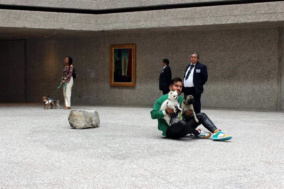 La muestra '#ArteyPerros', montada en el patio central del Museo Tamayo, está pensada para el disfrute de visitantes peludos y sus dueños.