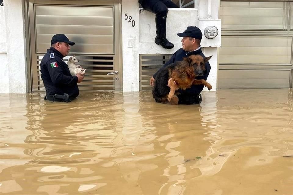 El frente frío 8 causó inundaciones en el Municipio de Agua Dulce, al sur de Veracruz.<br>