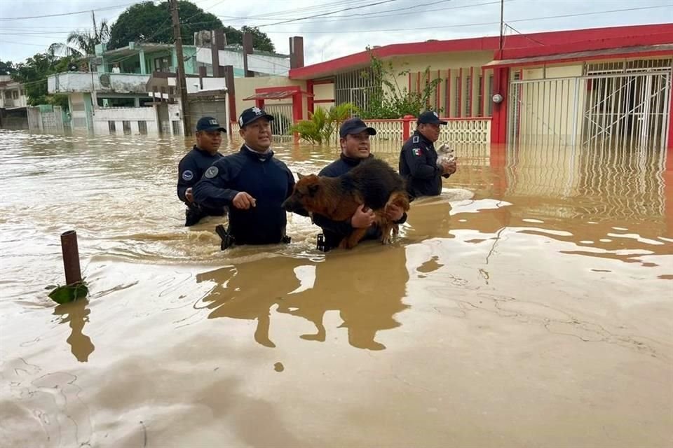 En las últimas 24 horas, Veracruz registró lluvias intensas.