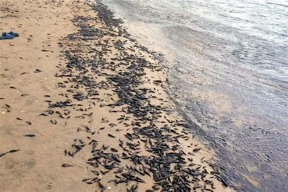 Barra de Tupilco, Paraíso, Tabasco.