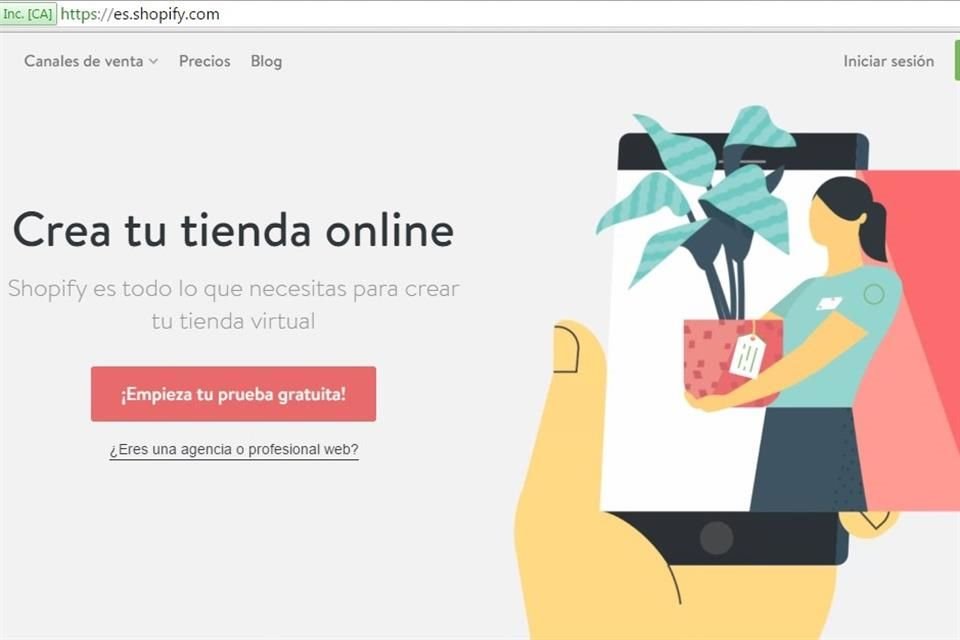 Para el comercio electrónico, el uso de imágenes de alta calidad y atractivas es fundamental para generar confianza y aumentar las ventas.