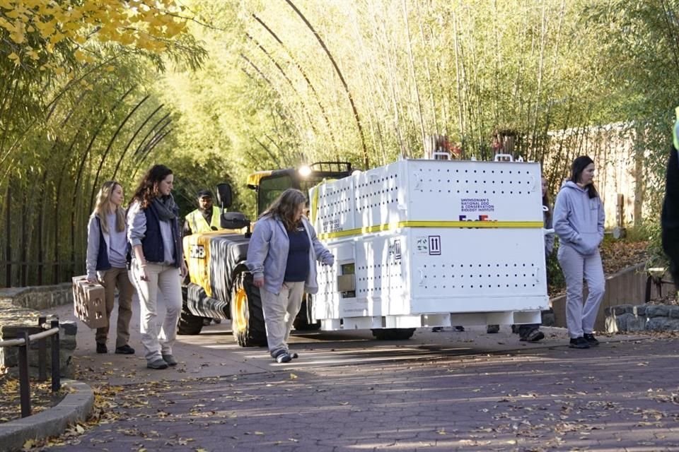 Una caja que transporta al panda Mei Xiang es trasladada por personal del Zoológico Nacional en Washington.