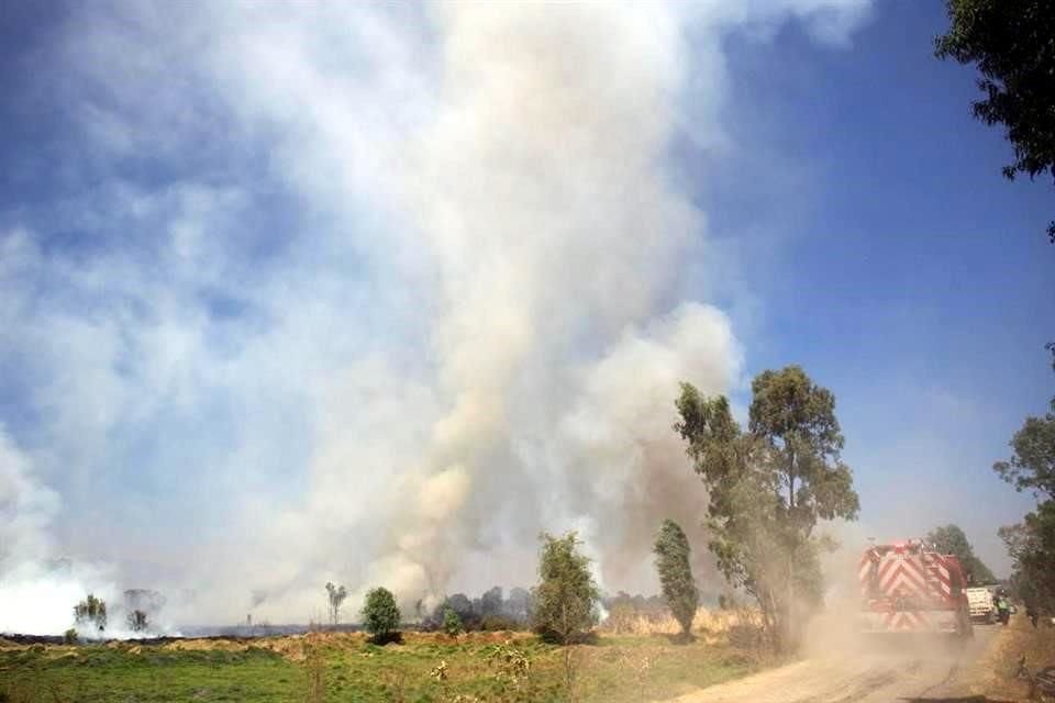 Bomberos informó que se trata de un incendio de 2.5 hectáreas de pasto seco, en la Colonia San Marcos. 
