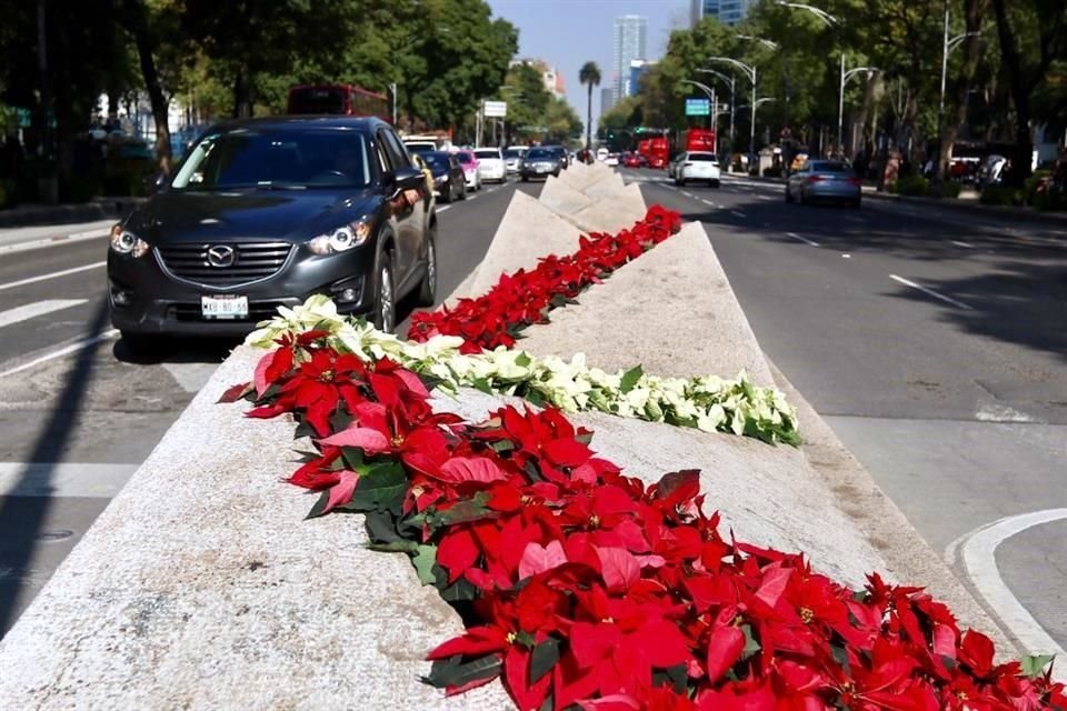 Se cubrirá una superficie de 80.66 kilómetros con flores que en su mayoría son de  viveros de la Alcaldía Xochimilco.