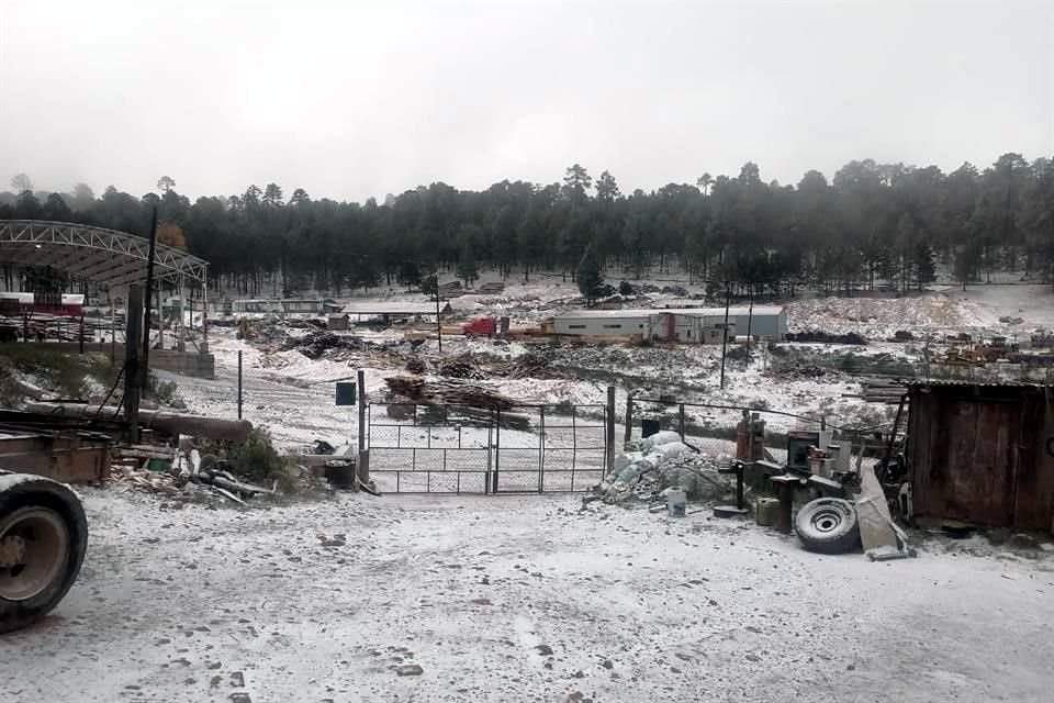 Nevadas en zona serrana de Durango.