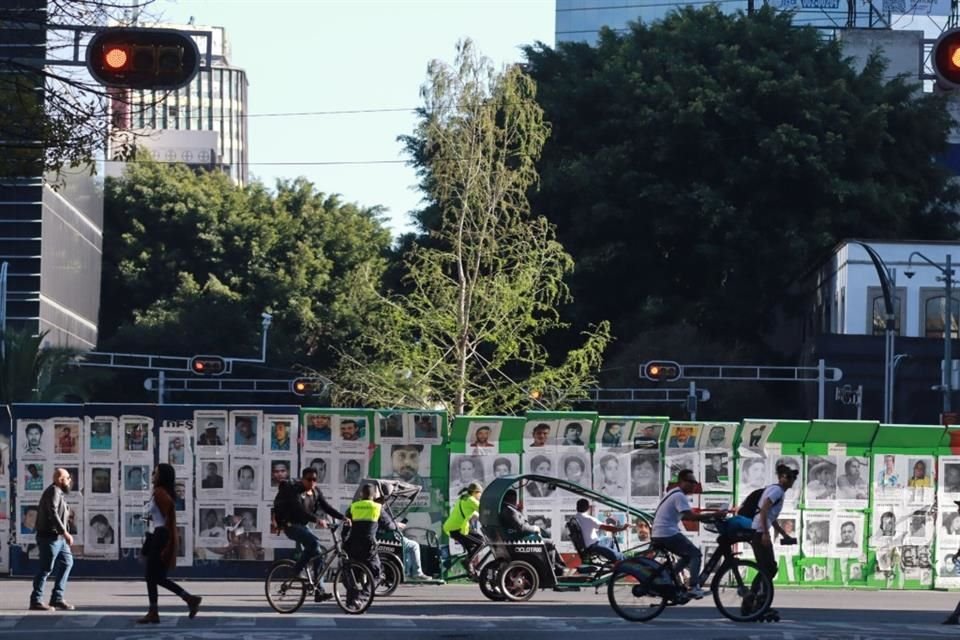 Pese a la mejora en la salud del ejemplar, la glorieta aún requiere una intervención fitosanitaria, pues persisten plagas como el muérdago en las jacarandas cercanas.