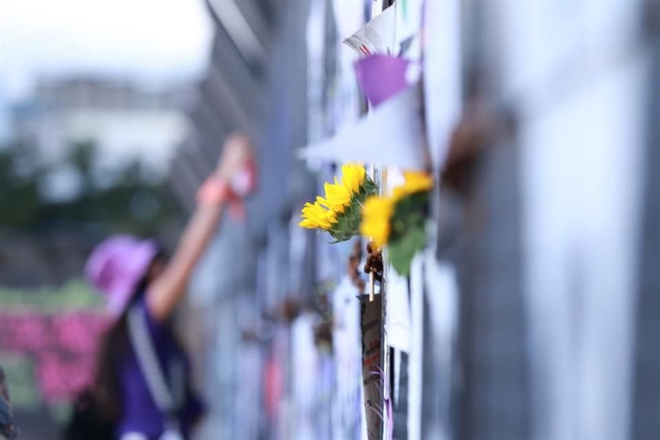 Girasoles fueron ubicados junto a mensajes que reclamaban justicia para el caso de Ariadna Fernanda.