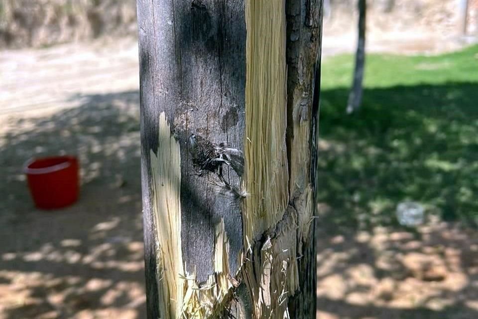 Las comunidades de El Parotal, La Mona y El Camarón han sido objeto de estos ataques.