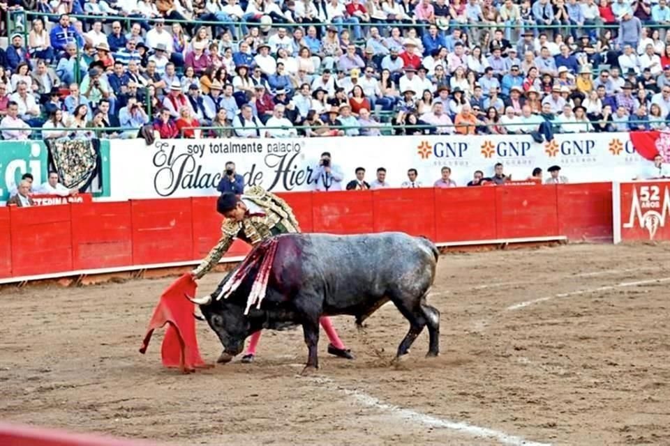 El amparo fue promovido por una organización de protección a derechos de los animales.