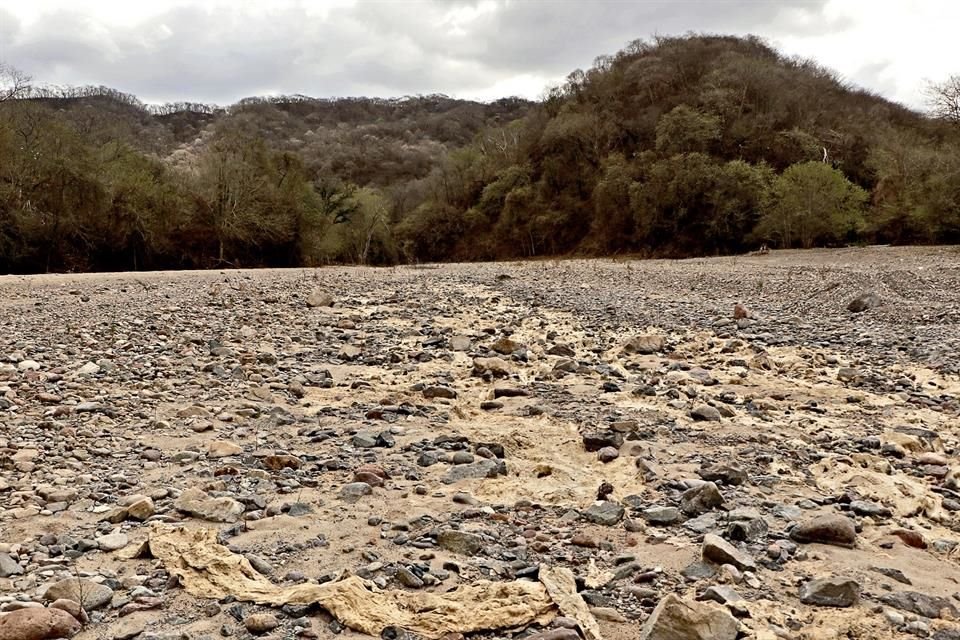 Fractura de presa de jales de sociedad minera Real de Cosalá provocó derrame de material tóxico sobre río San Lorenzo, dijeron pobladores.