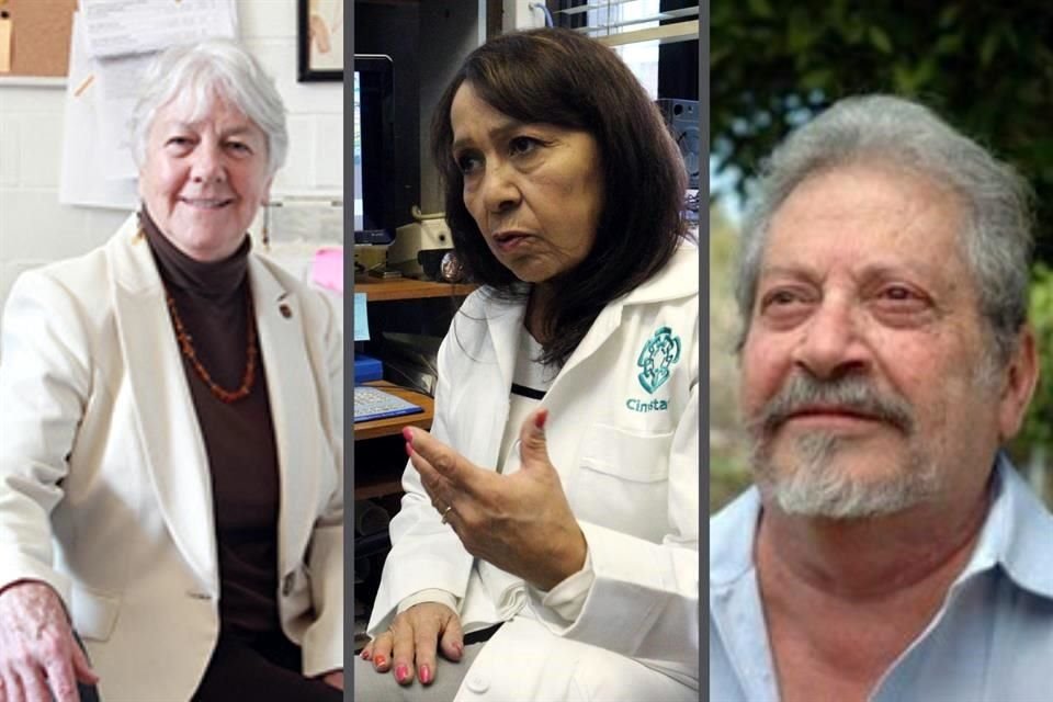 La química Lena Ruiz Azuara, la doctora en ciencias ambientales Refugio Rodríguez Vázquez y el matemático Santiago Alberto Verjovsky Solá fueron los ganadores del premio 2021.