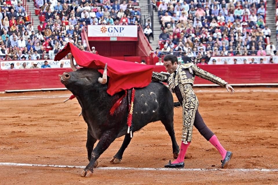 Tauromaquia Mexicana se congratuló de que la Presidenta esté informada de que el espectáculo taurino es una actividad cultural generadora de empleo.