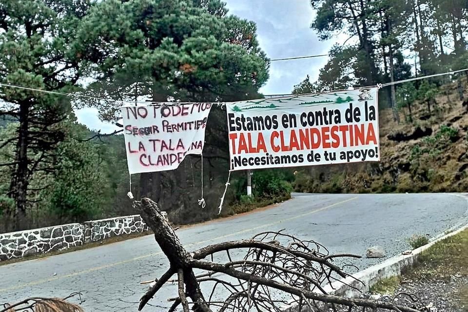 A comuneros mexiquenses les preocupa la devastación de la zona boscosa de Isidro Fabela.