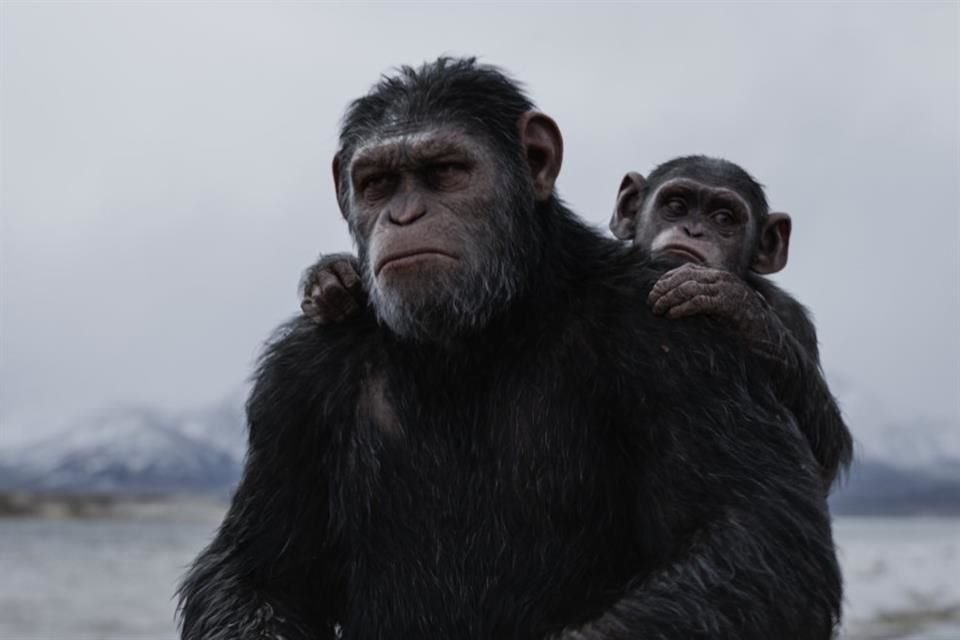 'El Planeta de los Simios' se embarcará en una nueva trilogía, que iniciará con la película 'Kingdom of the Planet of the Apes'.