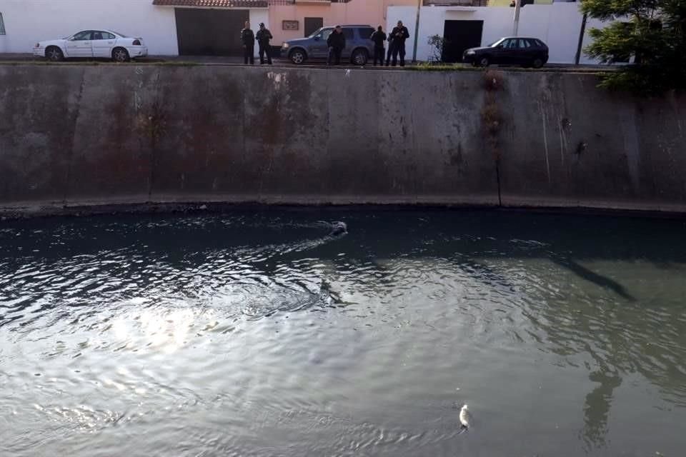 El cuerpo estaba maniatado y tenía una bolsa en la cabeza.